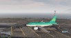 Aer Lingus A318 Livery 0