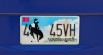 Real Vintage License Plates [Add-On / Replace] 11