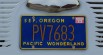 Real Vintage License Plates [Add-On / Replace] 8