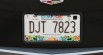 Real Mexico & Guatemala License Plates Pack [Addon & Replace] 12