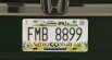 Real Mexico & Guatemala License Plates Pack [Addon & Replace] 3