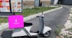 Food panda Scooter 1