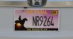 Real Nevada License Plates Pack [Addon & Replace] 6