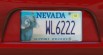 Real Nevada License Plates Pack [Addon & Replace] 7