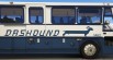 MCI D4500CT Coach Dashound Skin 8