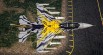 2021 XTM NATO Belgian Air Force Tiger meet X-Tiger FA-136 31st tiger squadron 0