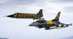 2021 XTM NATO Belgian Air Force Tiger meet X-Tiger FA-136 31st tiger squadron 4