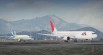 Japan Airlines ( 日本航空 ) JA8234 and JA8980 9