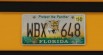 Real Florida License Plates Pack [Addon & Replace] 1