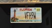 Real Florida License Plates Pack [Addon & Replace] 13