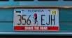 Real Florida License Plates Pack [Addon & Replace] 15