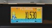 Real Florida License Plates Pack [Addon & Replace] 16