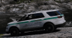 U.S. Forest Service Livery Pack 1