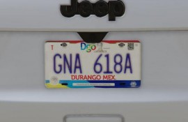 Real Mexico & Guatemala License Plates Pack [Addon & Replace]
