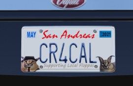 Supporting Local Floppas - License Plate