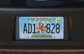 Real Florida License Plates Pack [Addon & Replace]