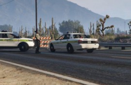 Sandy Shores Sheriff